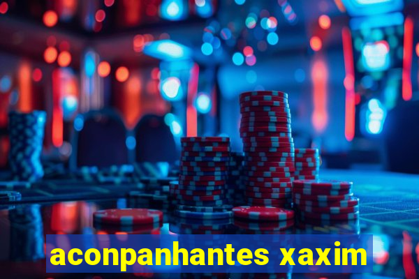 aconpanhantes xaxim