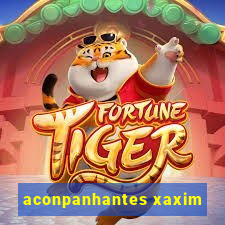 aconpanhantes xaxim