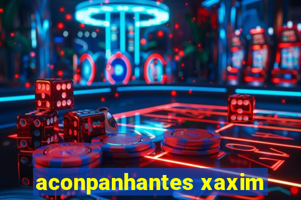 aconpanhantes xaxim