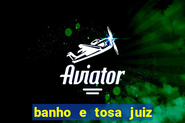 banho e tosa juiz de fora