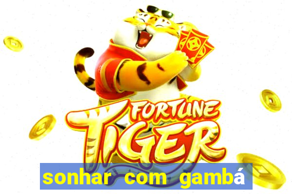 sonhar com gambá jogo do bicho