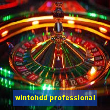 wintohdd professional