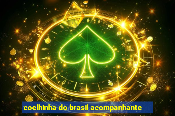 coelhinha do brasil acompanhante