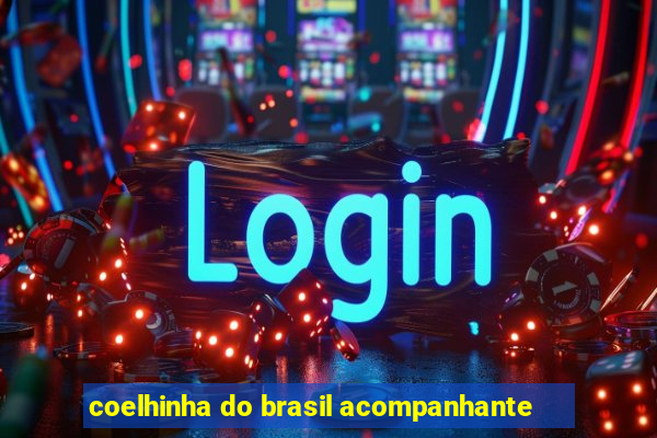 coelhinha do brasil acompanhante