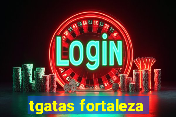 tgatas fortaleza