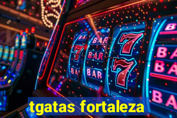 tgatas fortaleza