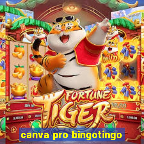 canva pro bingotingo