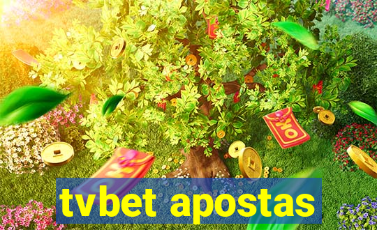 tvbet apostas