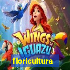 floricultura juazeiro bahia