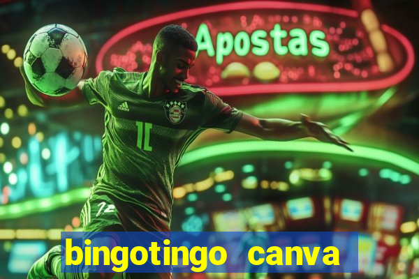 bingotingo canva pro gratis