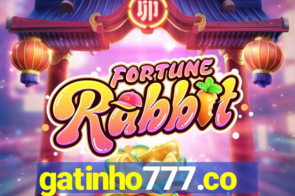 gatinho777.co