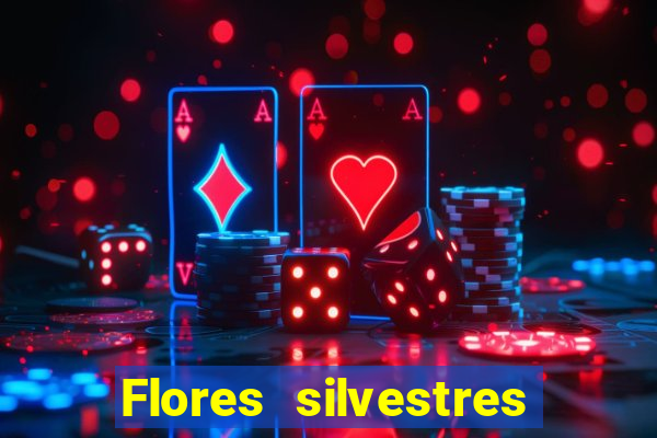 Flores silvestres brasileiras brasileiras flores silvestres nomes e imagens