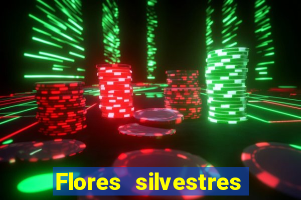 Flores silvestres brasileiras brasileiras flores silvestres nomes e imagens