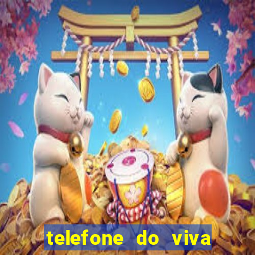 telefone do viva sorte oficial