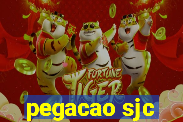 pegacao sjc