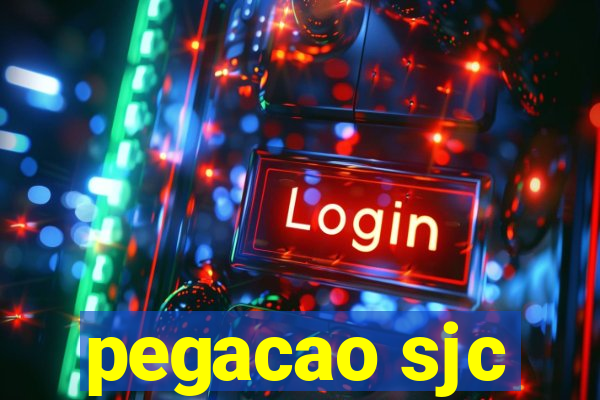 pegacao sjc