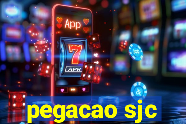 pegacao sjc