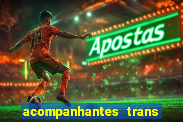 acompanhantes trans baixada fluminense