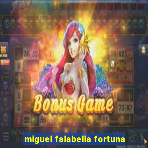 miguel falabella fortuna