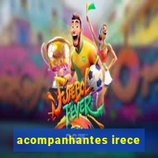 acompanhantes irece