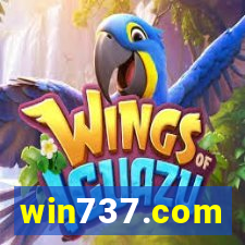 win737.com