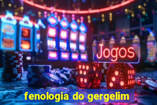 fenologia do gergelim