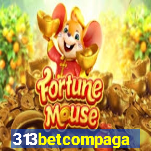 313betcompaga