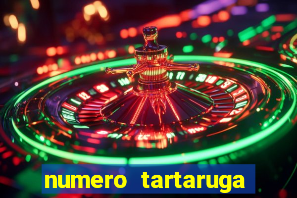 numero tartaruga jogo do bicho