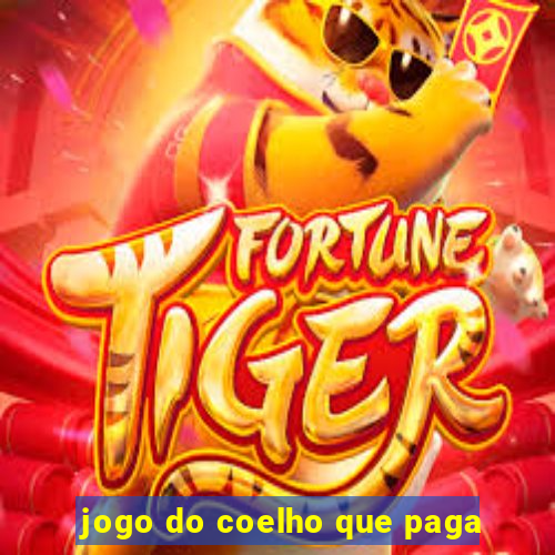 jogo do coelho que paga