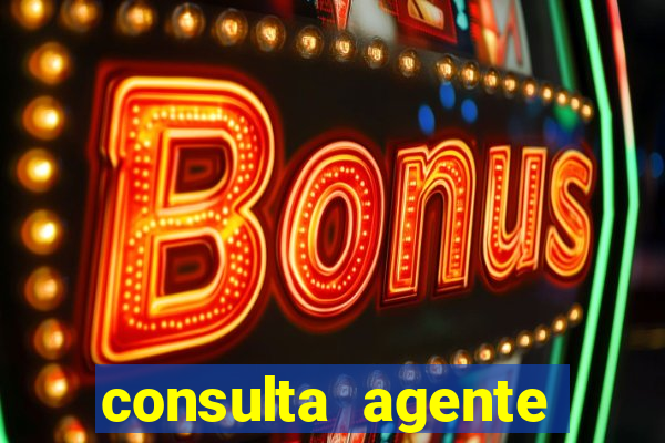 consulta agente autuador sp