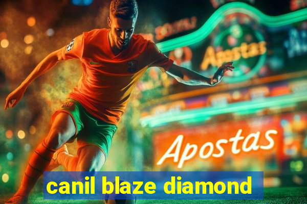 canil blaze diamond