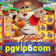 pgvip6com