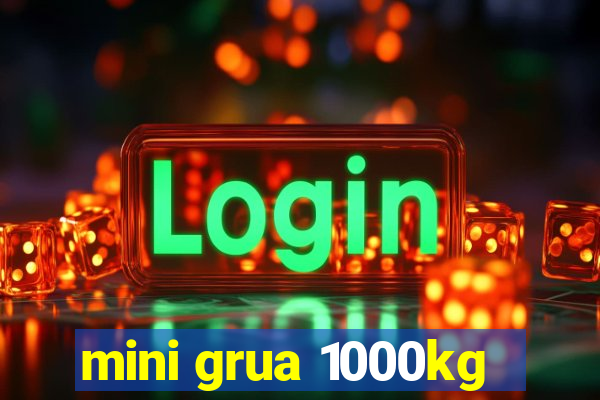 mini grua 1000kg