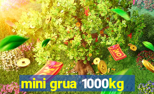 mini grua 1000kg