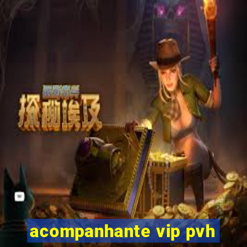 acompanhante vip pvh