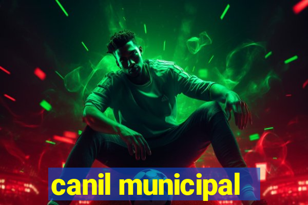 canil municipal