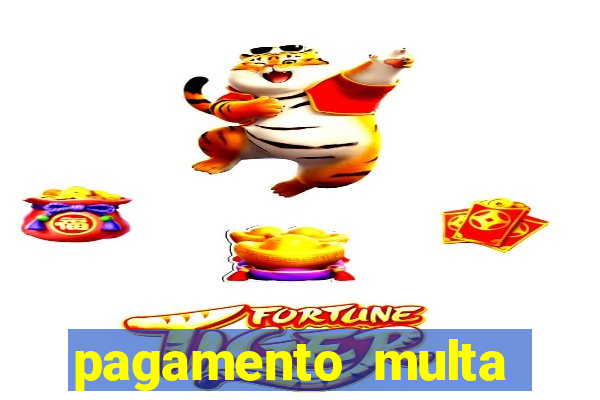 pagamento multa detran mg