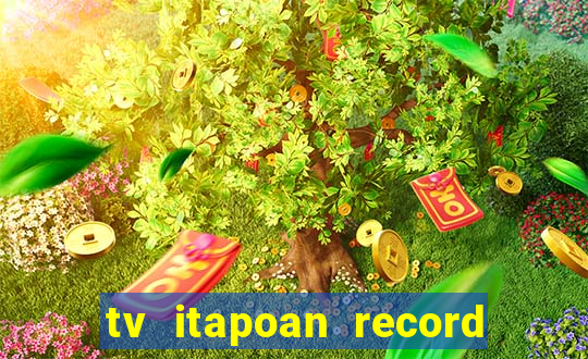 tv itapoan record bahia ao vivo online