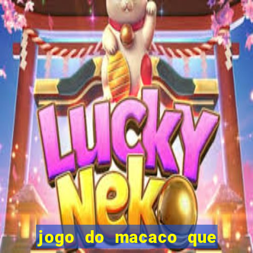 jogo do macaco que ganha dinheiro