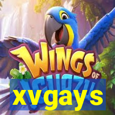 xvgays