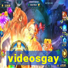 videosgay