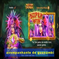 acompanhante de guanambi