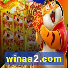 winaa2.com