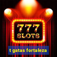 t gatas fortaleza