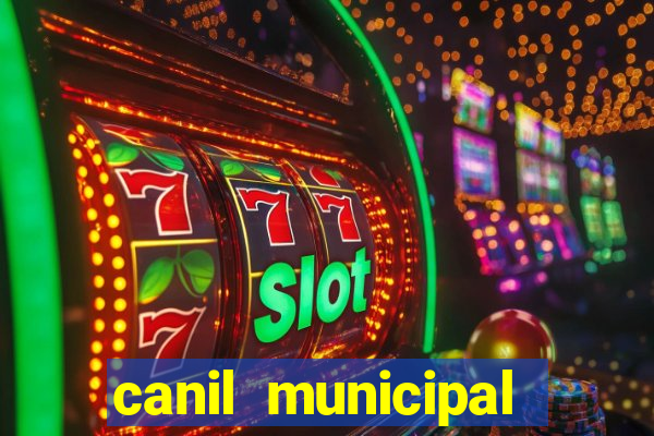 canil municipal porto alegre