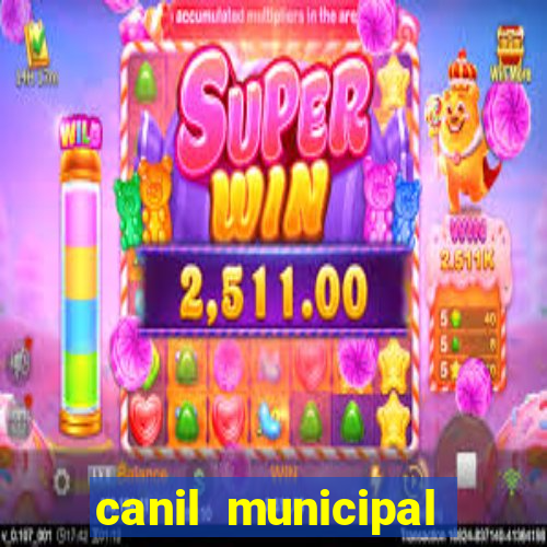 canil municipal porto alegre