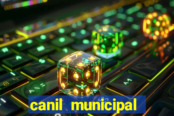 canil municipal porto alegre