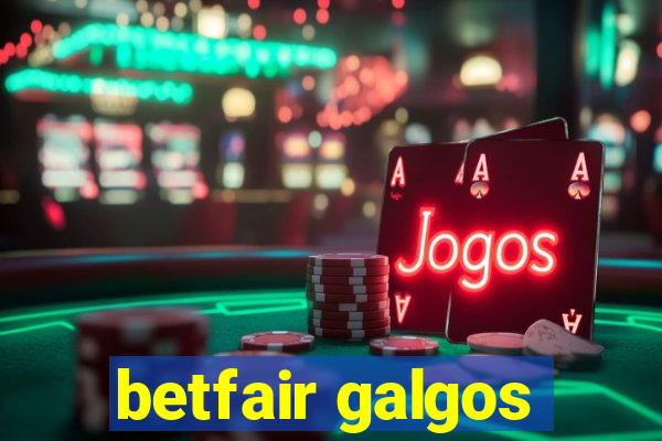 betfair galgos