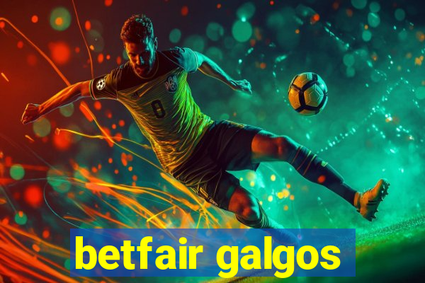 betfair galgos