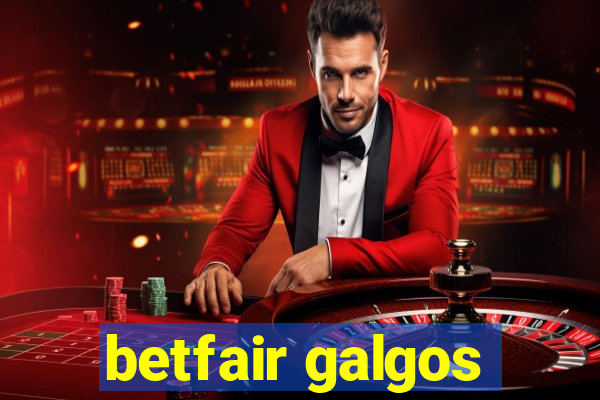 betfair galgos